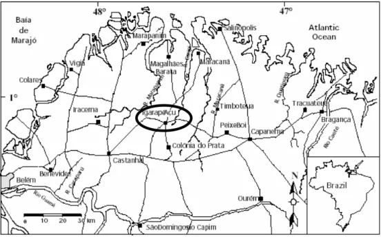 Figura 1 - Localização geográfica do município de Igarapé-Açu, Pará, na mesorregião Nordeste do  estado do Pará