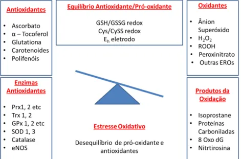 Figura 3. Esquema representativo do desequilíbrio entre pró-oxidantes e antioxidantes,  levando ao estresse oxidativo