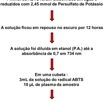 Figura 7: Procedimento para determinação da capacidade antioxidante não enzimática total