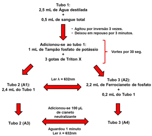 Figura 9: Procedimento para determinação de metemoglobina. 