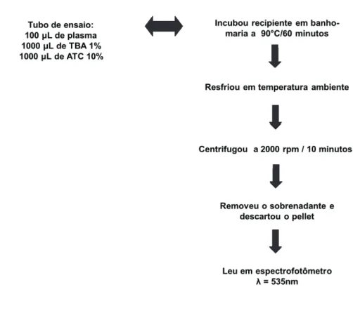 Figura 6. Procedimento para determinação do TBARS. 