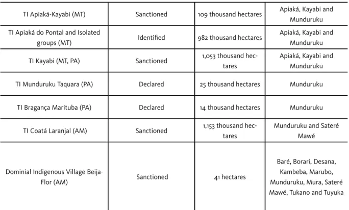 Table 2 – Synthesis of the situation of the indigenous lands occupied by the Munduruku in other states and regions