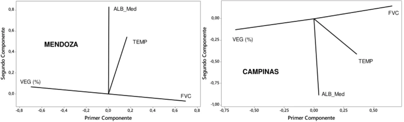 Figura 7 - Componentes principales para las variables: temperatura (TEMP), porcentaje de vegetación  (VEG), albedo medio (MEAN_ALB) y factor de visión de cielo (FVC) en el área de estudio de la ciudad de  Mendoza y de Campinas 