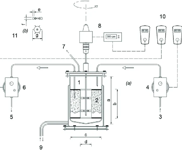 Figure 1. Scheme of the AnSBBR: (1) Bioreactor (a = 29,5 cm; b = 18 cm; c = 18 cm); (2) Stainless steel box (b = 18 cm; d = 7 cm); (3)  Influent; (4) Feed pump; (5) Effluent; (6) Discharge pump; (7) Biogas outlet; (8) Stirring; (9) Thermostatic bath; (10) 