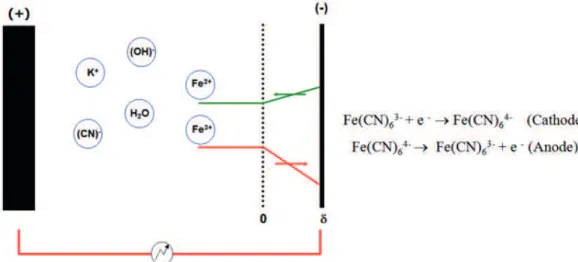 Figure 3. Diffusive transport near the cathode and oxidation of potassium ferricyanide (K3Fe(CN)6) to potassium ferrocyanide (K4Fe(CN)6).