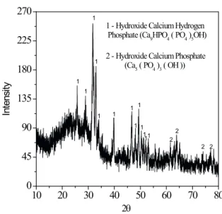 Figure 2.  Precipitate X-ray diffractogram obtained from a solution  containing 20 mg L -1  of Na2HPO4 and 50 mg L -1  of Ca(OH)2 at pH  11.