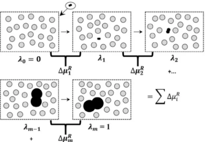 Figure 2: Illustrative scheme for the proposed gradual insertion. We  present a dimer insertion in a fluid of hard sphere