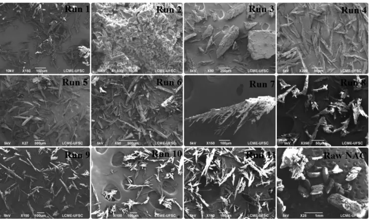 Figure 3: Scanning Electron Microscope (SEM) of the produced particles.