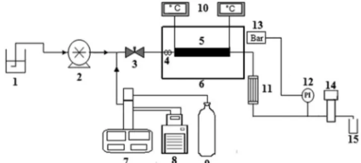 Figure 1: Biomass thermoconversion unit, with  capacity to operate with pressurized liquid and/or  gaseous  solvents  in  semi-continuous  flow