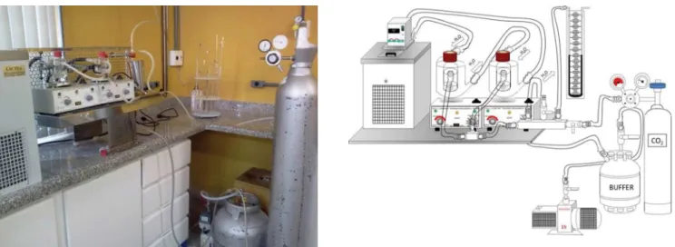 Figure 1: Experimental SrCO 3  solubility test apparatus and scheme in water under a CO 2  atmosphere.