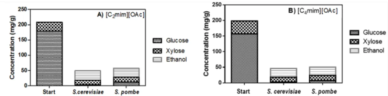 Figure 5. Concentration of glucose, xylose, and ethanol determined by HPLC for Eucalyptus sp