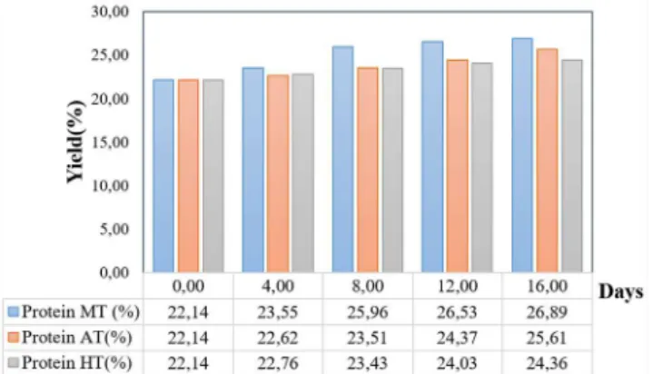 Figure 4. Protein profile of Chlorella sp. under various cultivation modes.