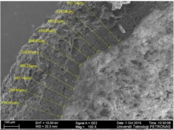 Figure 7. FESEM micrograph of a cross section of a St-PCU granule.