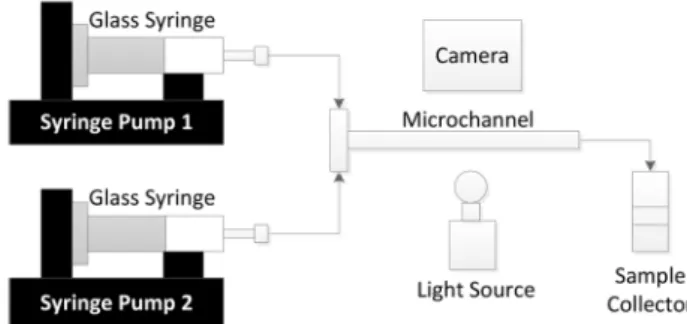 Figure 1. Schematic diagram of the microchannel extraction set-up.