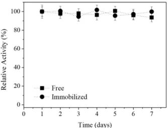 Figure 9.  Storage  stability  of  free  and  immobilized  cellulase  at  4  °C  (PMMA-cellulase  nanoparticles  synthesized  using  2.7  wt.%  Lutensol  AT50 and 6 wt.% cellulase).