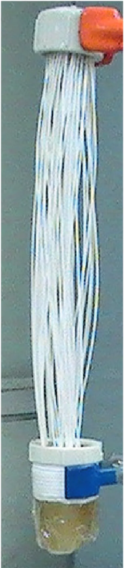 Figure 3 presents the membrane external surface  micrograph. It was possible to detect the membrane pores  of selective layers and the illustration also reveals a high  superficial porosity of the membrane, so the black regions  indicate the presence of ac