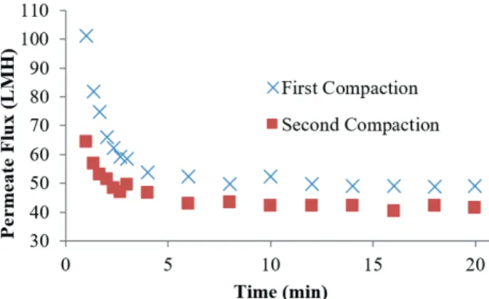 Figure 6. Water fl ux vs. transmembrane pressure for two diff erent  membrane modules