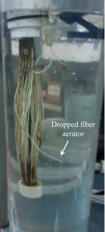 Figure 17. Photograph  of  the  dropped  fiber  aerator  for  Mode  2  aeration and 5 L/min air flow rate.