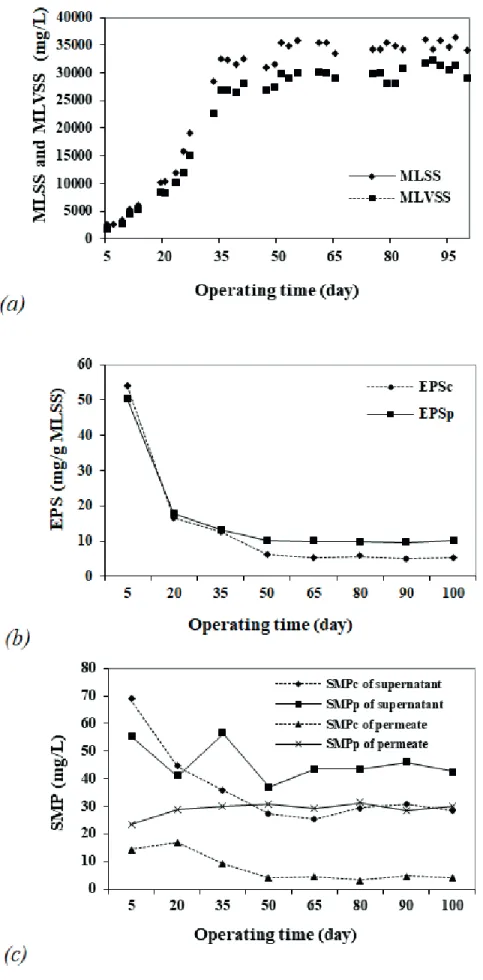 Figure 2. Concentrations of MLSS, MLVSS (a), SMP (b) and EPS (c)