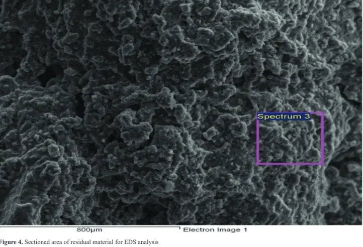 Figure 4. Sectioned area of residual material for EDS analysis