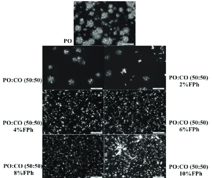Figure 8. Polarized light microscopy images of pure palm oil (PO), and blends of palm oil and canola oil (PO:CO 50:50, in w/w%) added  with 0, 2, 4, 6, 8, and 10% of non-esterifi ed phytosterols (FPh), after isothermal crystallization at 25°C, for 3h (the 