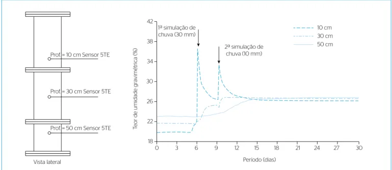 Figura 9 – Ensaio de infiltração na Coluna 2 (camada oxidativa).