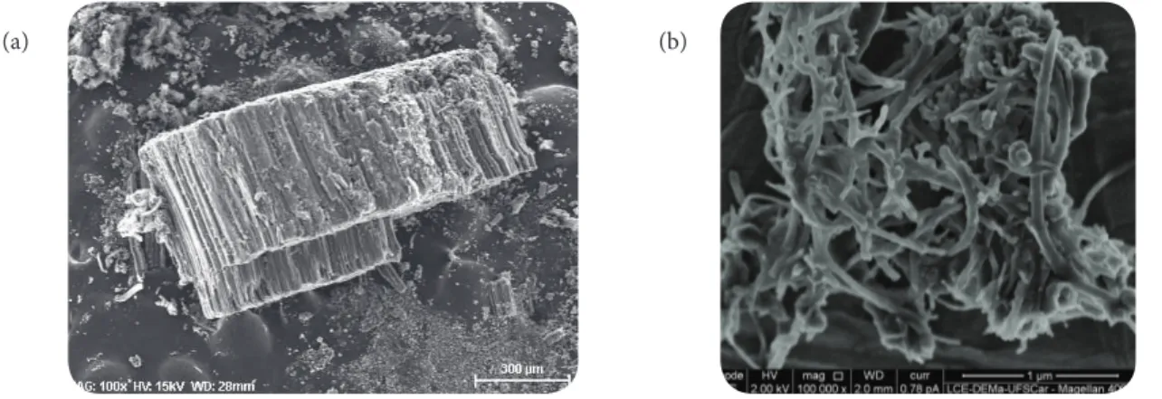 Figure 1 shows SEM images of CNTs as grown by CVD process and after functionalisation treatments (CNT- Am)