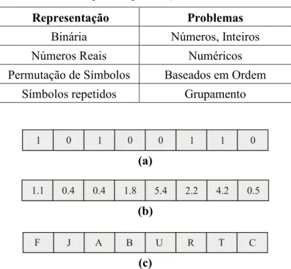 Tabela 4. 2: Tipos de representação dos cromossomos 