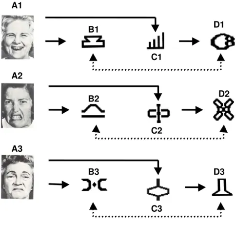 Figura 1. Representação esquemática das relações treinadas (setas contínuas) e  testadas (setas tracejadas) na Fase 1
