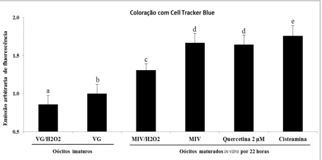Figura 1. Níveis de glutationa (GSH) intracelular em oócitos bovinos avaliado com Cell Tracker Blue