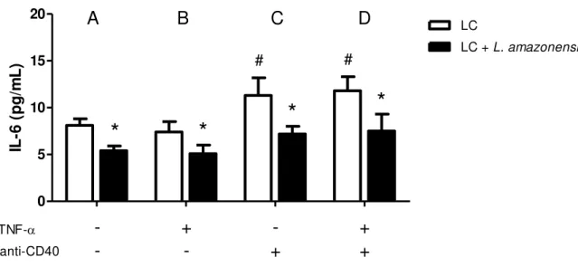 Figura 4. Produção de IL-6 nos sobrenadantes das culturas de LCs estimuladas por 24 horas com TNF- α e/ou  anticorpo anti-CD40 na presença de promastigotas de L