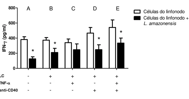 Figura 7. Produção de IFN- γ  em co-culturas de células do linfonodo e LCs pré-estimuladas por 24 horas com  TNF- α e/ou anticorpo anti-CD40 na presença de promastigotas de L