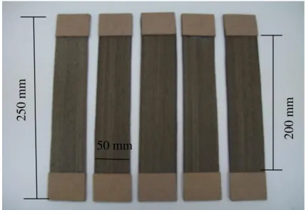 Figura 15 – Corpos de prova de madeira de espécie Octea porosa com direção das fibras a 0° a  carga de ensaio