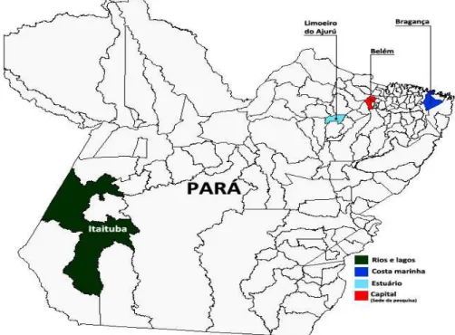 Figura 3. Mapa do Estado Pará, destacando as cidades a serem estudadas:  Itaituba, Limoeiro do  Ajuru, Bragança e Belém como sede da pesquisa