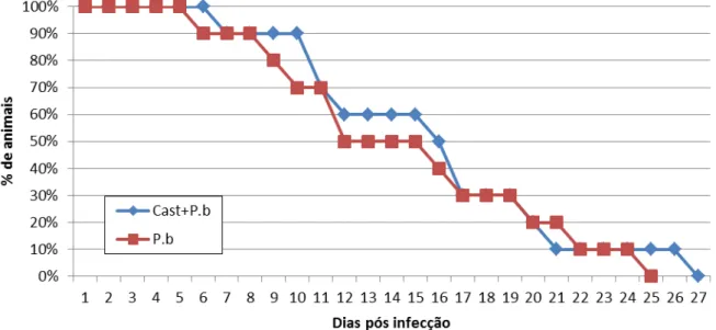 Figura  7:  Porcentagem  de  sobrevivência  dos  animais  infectados  com  Plasmodium  berghei  (P.b)  e  dos  animais  pré-tratados  com  Castanha-do-Pará  e  infectados  posteriormente  (Cast+P.b), acompanhados até o último dia de sobrevivência (n=10)