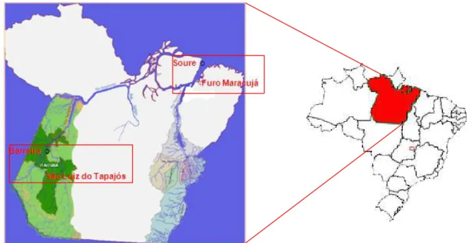 Figura 1. Mapa do estado do Pará destacando as localidades de Barreiras e  São Luiz do Tapajós, no município de Itaituba, Furo do Maracujá (município de  Acará) e Soure (município de Soure)
