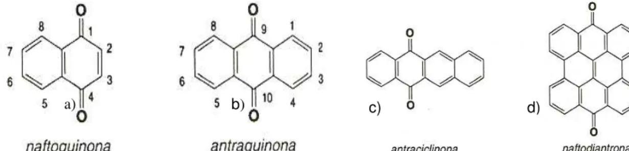 Figura 04 –  Estrutura química básica dos compostos quinônicos. 