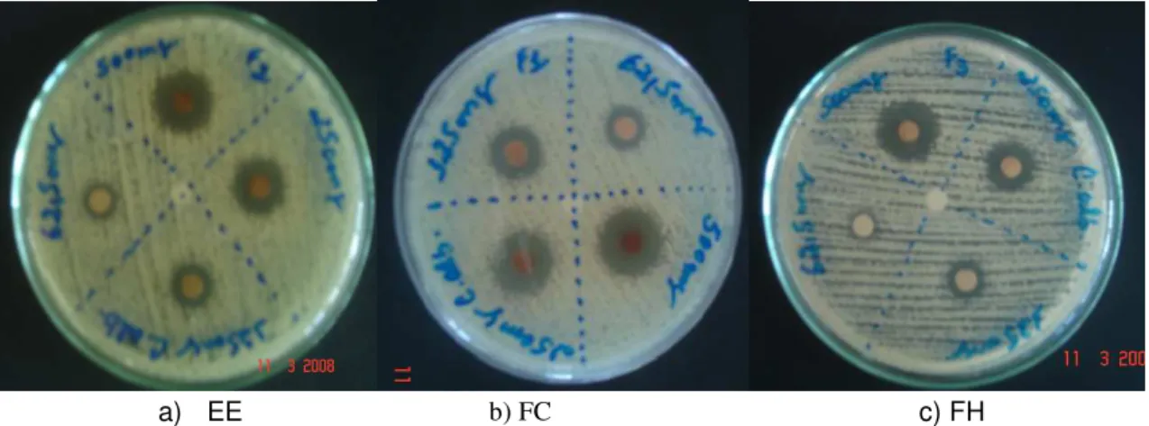 Figura 09 – Antibiograma realizado com C. albicans.  