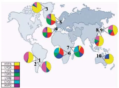 Figura 6 – Distribuição geográfica dos Haplótipos do gene   (Adaptado de Dommet 