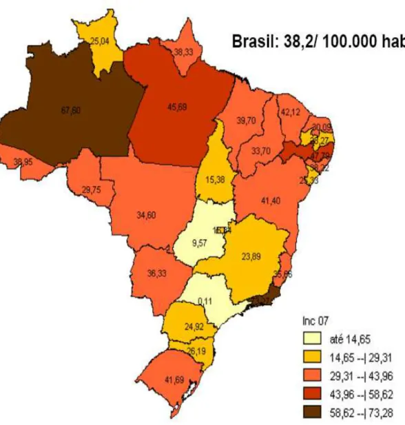 FIGURA 1. Taxa de incidência dos casos notificados de tuberculose no ano de 2007, nos  estados do Brasil