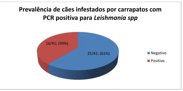 Gráfico 01. Número de cães com carrapatos com PCR positiva para leishmaniose. 