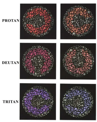 Figura 6. Representação dos estímulos usados no teste de limiar de discriminação de cores pelo  método de Mollon-Reffin (MR)
