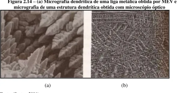 Figura 2.14 – (a) Micrografia dendrítica de uma liga metálica obtida por MEV e (b)  micrografia de uma estrutura dendrítica obtida com microscópio óptico 