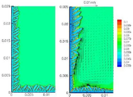 Figura 2.7 – Simulação da quebra de ramificações dendríticas de grãos colunares por correntes  de convecção forçada no líquido (Tan e Zabaras, 2007) 