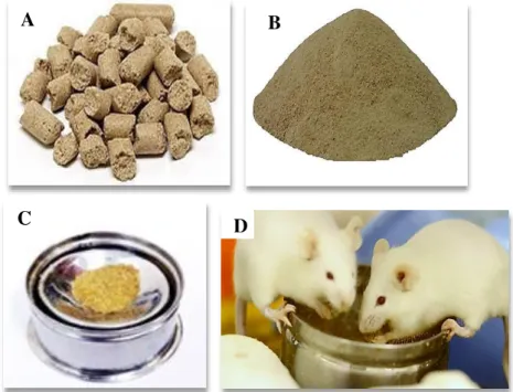 Figura 4: Tipos diferentes de ração ofertada aos animais para instituir diferentes regimes de dieta 
