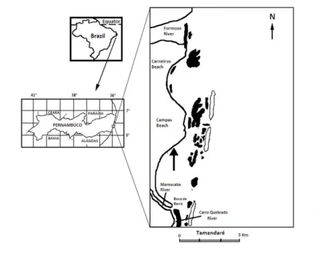 Fig. 1. Map of the sampling site.