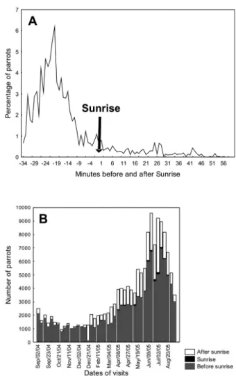 Fig. 2. Average percentile rank for individuals arriving at the roosting  site, considering the gradient of luminosity.
