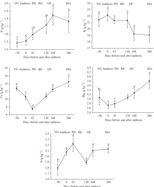 Figure 4. Foliar concentrations of P, K, Ca, Mg, and S during a phenological cycle of coffee.