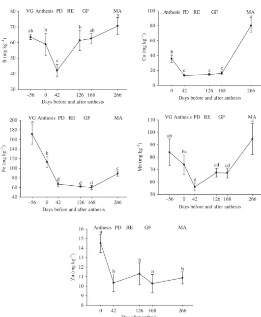 Figure 5. Foliar concentrations of B, Cu, Fe, Mn, and Zn during a phenological cycle of coffee.
