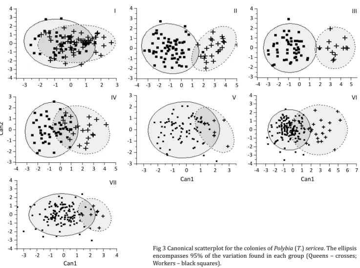 Fig 3 Canonical scatterplot for the colonies of  Polybia  ( T .)  sericea . The ellipsis  encompasses 95% of the variation found in each group (Queens – crosses; 